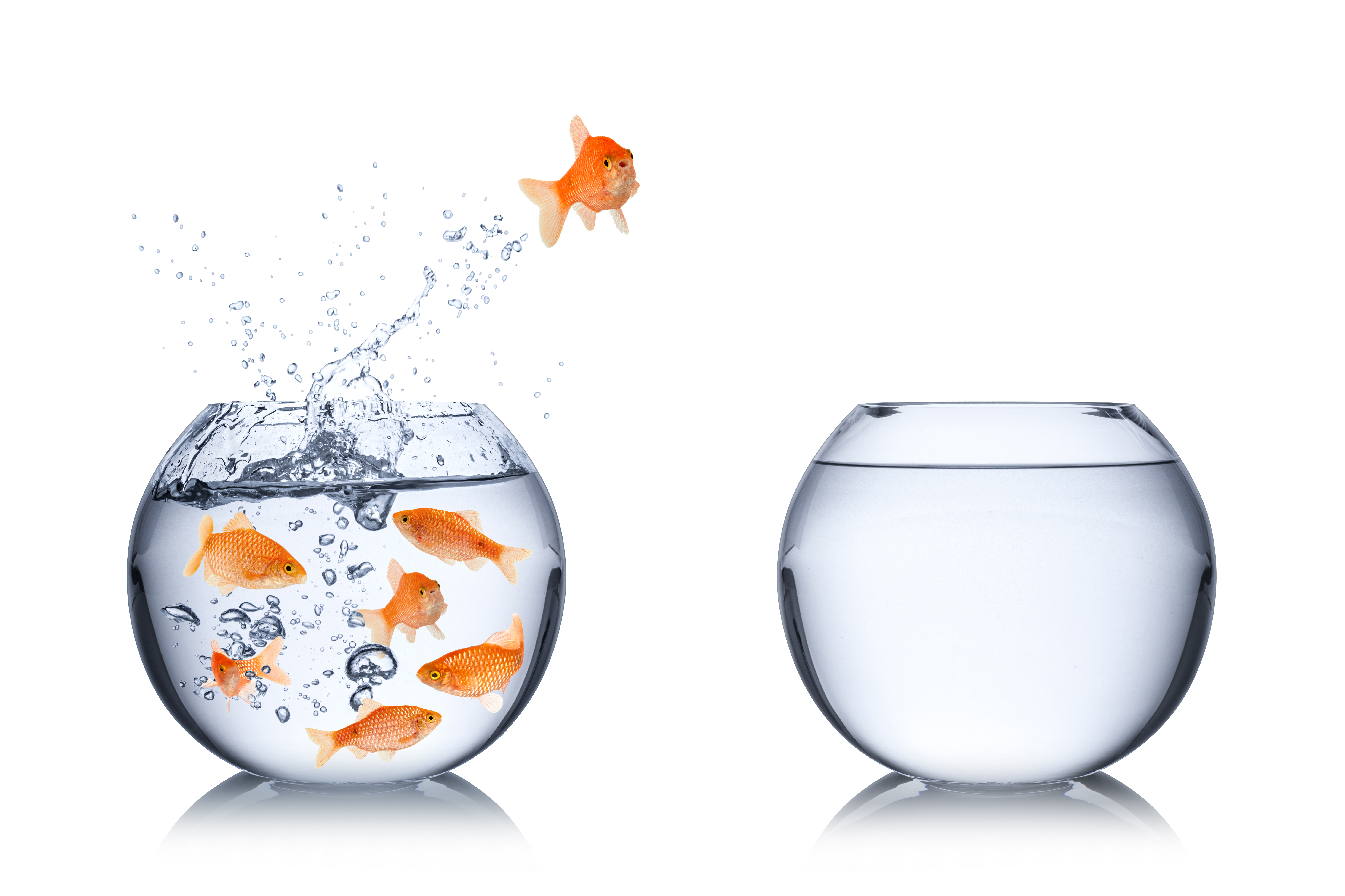 What’s your Leadership Development Strategy?